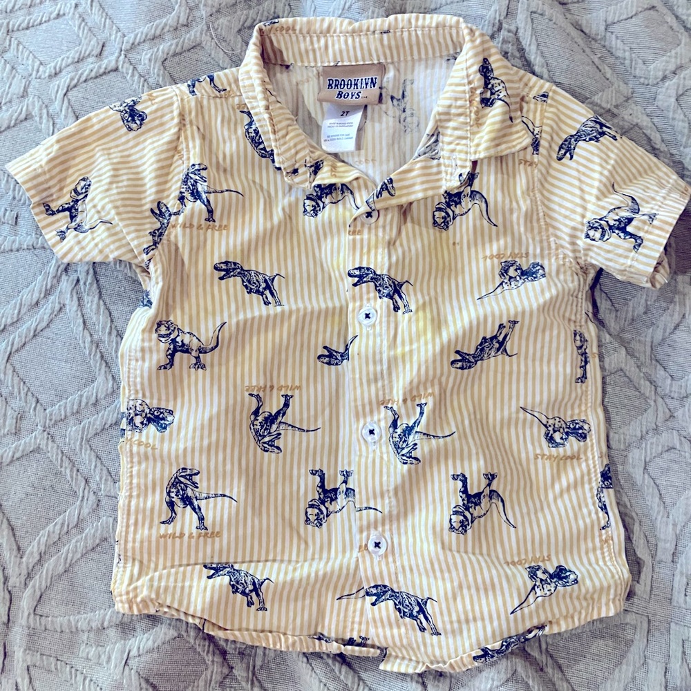 Dinosaur Button Down | 2T